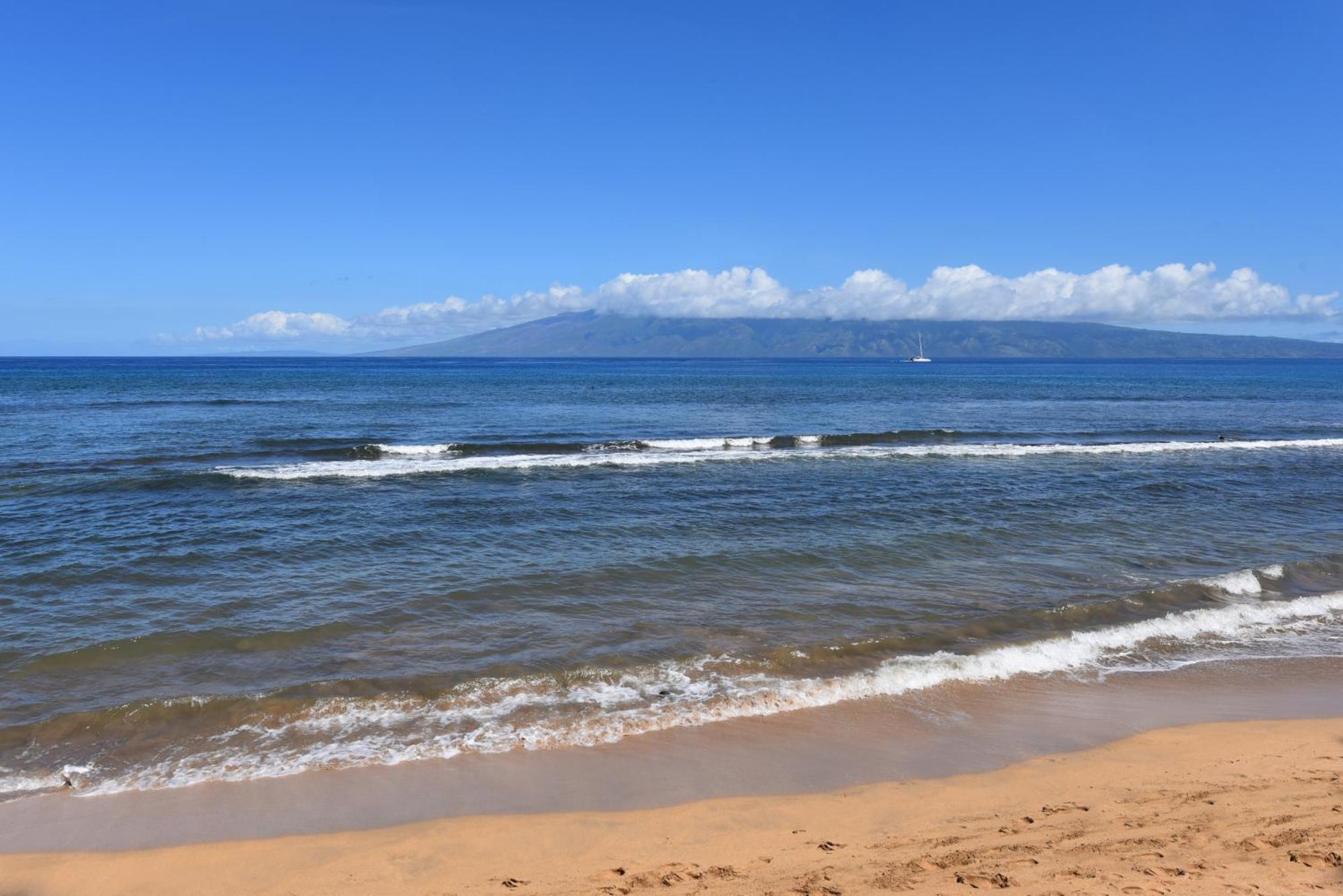 Kaanapali Shores 160 - Sleep Steps Away From The Ocean Kahana 외부 사진